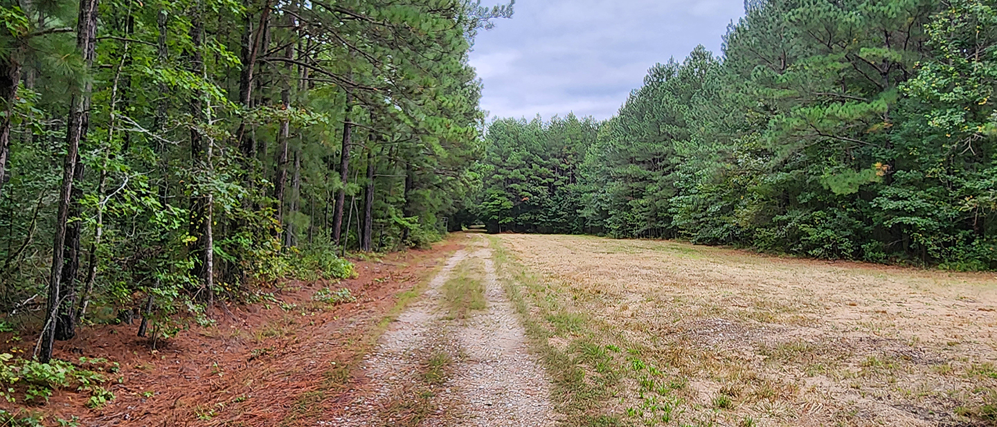Sturgeon Point Road Meadows Tract Commonwealth Land